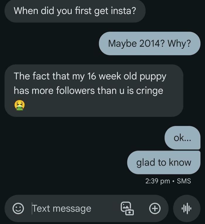 Text exchange with in-law about puppy having more followers than a person on Instagram, calling it cringe.