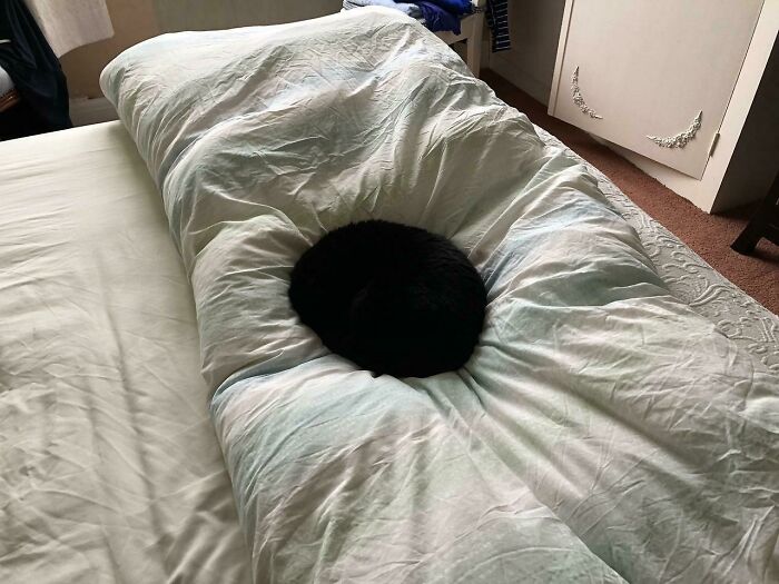 A black cat loafing snugly on a white bed, forming a cozy indentation.