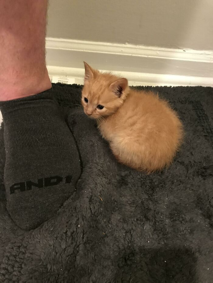 Ginger kitten loafing on a textured mat beside a person's foot in a sock.