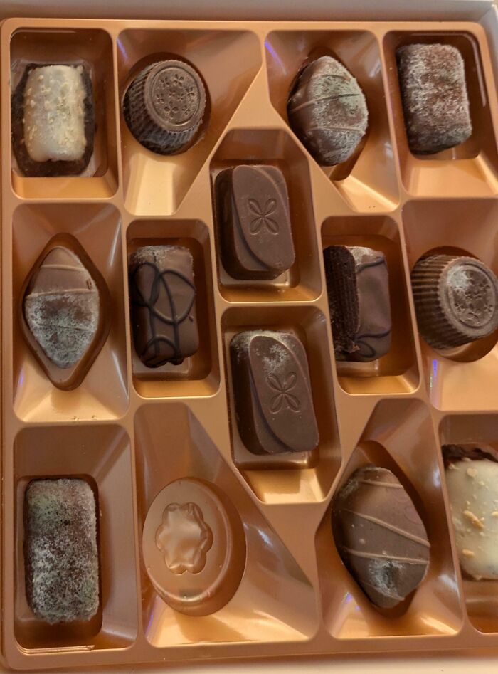 Moldy chocolates in a box, illustrating a challenging colleague experience.