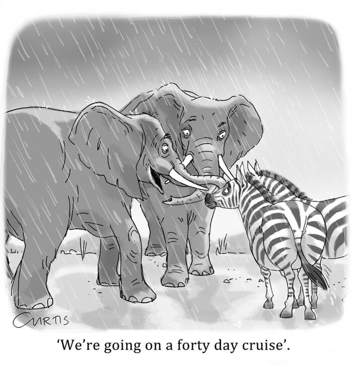 Cartoon with elephants and zebras in the rain, joking about going on a cruise, highlighting everyday life humor.