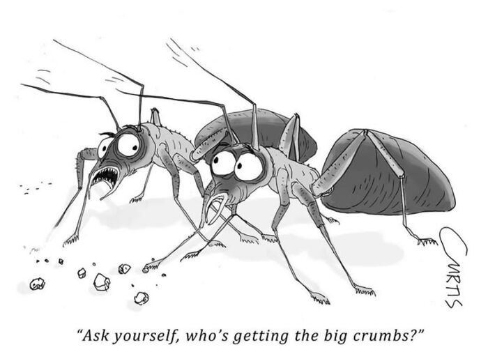 Two cartoon ants discuss crumb sizes, highlighting everyday life reflections through humor.