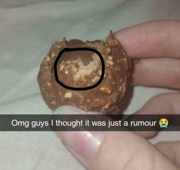 Chocolate candy with a bug inside, held in hand with text overlay: "Omg guys I thought it was just a rumour." Worst day at work.