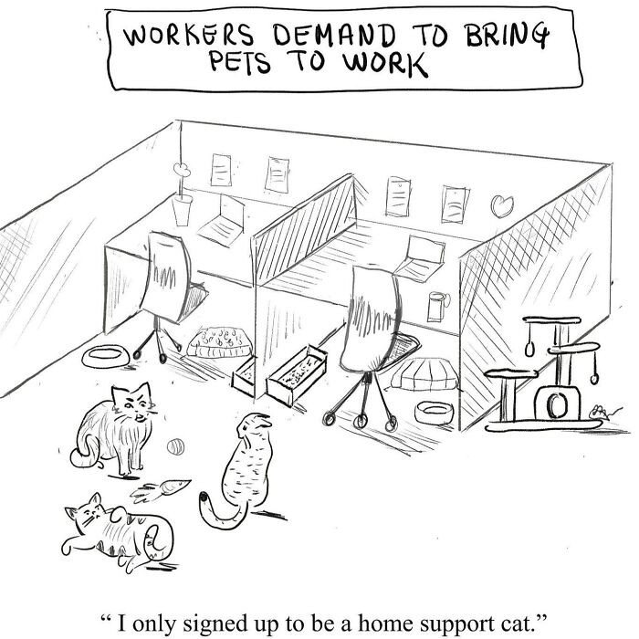 One-panel comic by Beverley Kort shows pets in an office cubicle, with one cat saying, "I only signed up to be a home support cat."