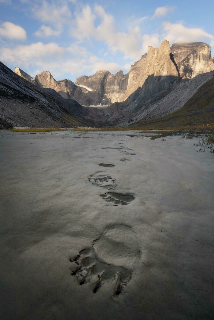 Huellas de oso en un paisaje montañoso, mostrando una escena surrealista y misteriosa bajo un cielo azul.