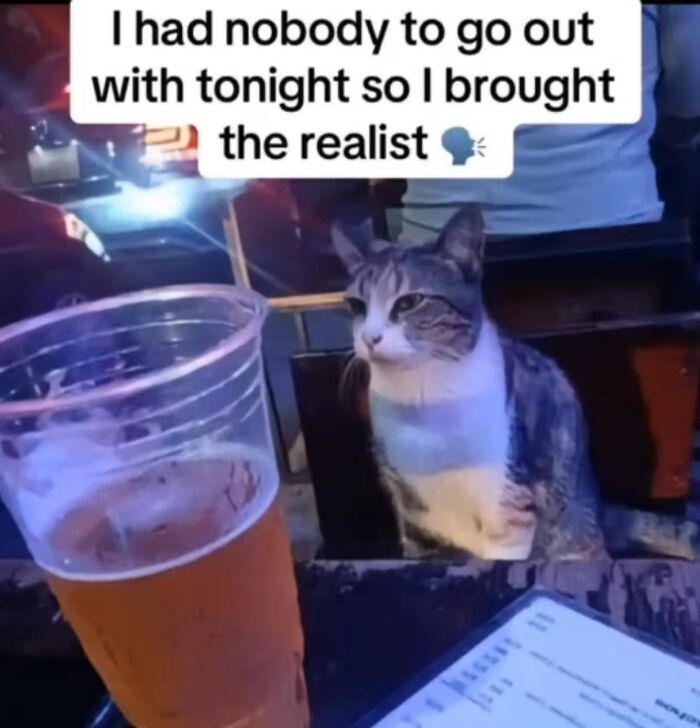 Cat memes featuring a cat sitting by a beer, relatable with humor text about bringing the "realist."
