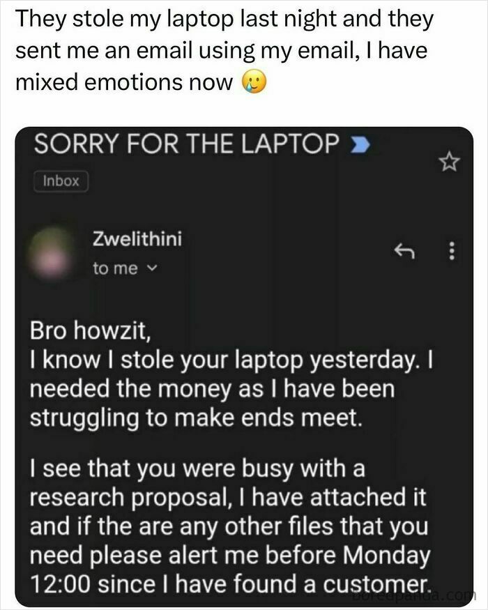 Email meme from Instagram page illustrating a humorous laptop theft apology.