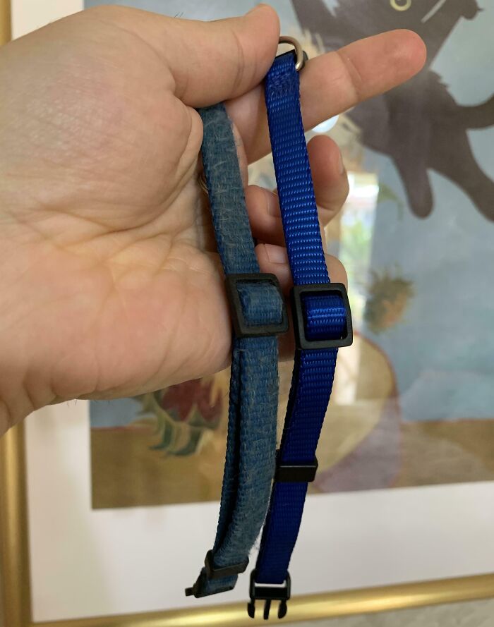 Worn-down blue collar next to a new blue collar, illustrating the effects of time on belongings.