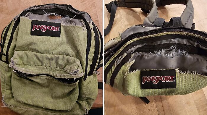 Mochila verde Jansport desgastada por el tiempo, con roturas visibles en los bordes.
