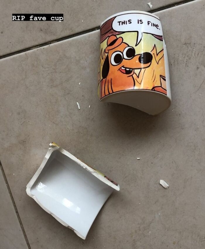 Broken mug with a cartoon dog and text saying "This is fine," highlighting a bad day moment.