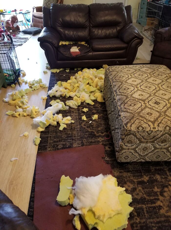 Sala desordenada con cojines de sofá destrozados, mostrando errores comunes en el hogar.