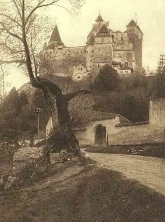 Historic castle with unsettling aura, surrounded by trees and ancient stone pathways in a sepia-toned photograph.
