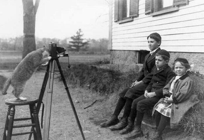 A cat on a stool operates a vintage camera, photographing three seated children outside a house in an unsettling vintage scene.