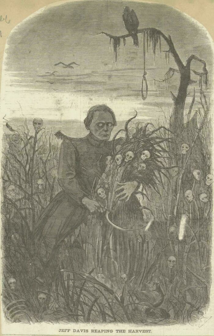 An unsettling historical illustration depicting a man harvesting skulls in a field, titled "Jeff Davis Reaping the Harvest."