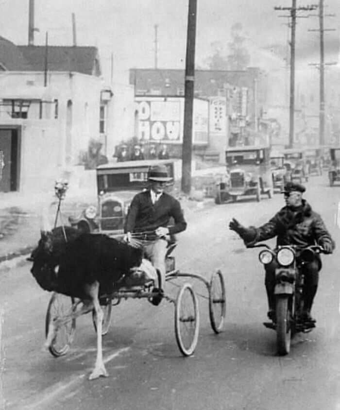 Man driving an ostrich cart beside a motorcyclist on a vintage street, depicting unsettling historical transport methods.