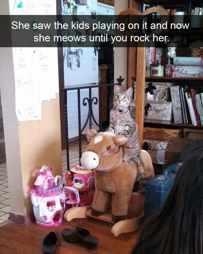 Cat in play mode riding a rocking horse, surrounded by toys, showcasing its playful attitude.