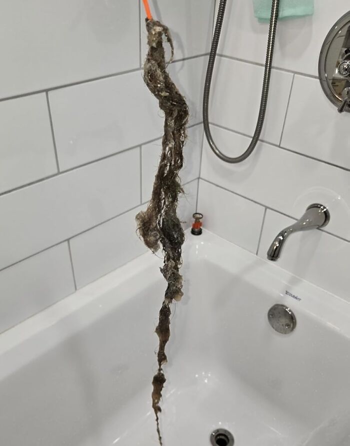 Cleaned hair clog from shower drain, showcasing essential life skills in plumbing maintenance.