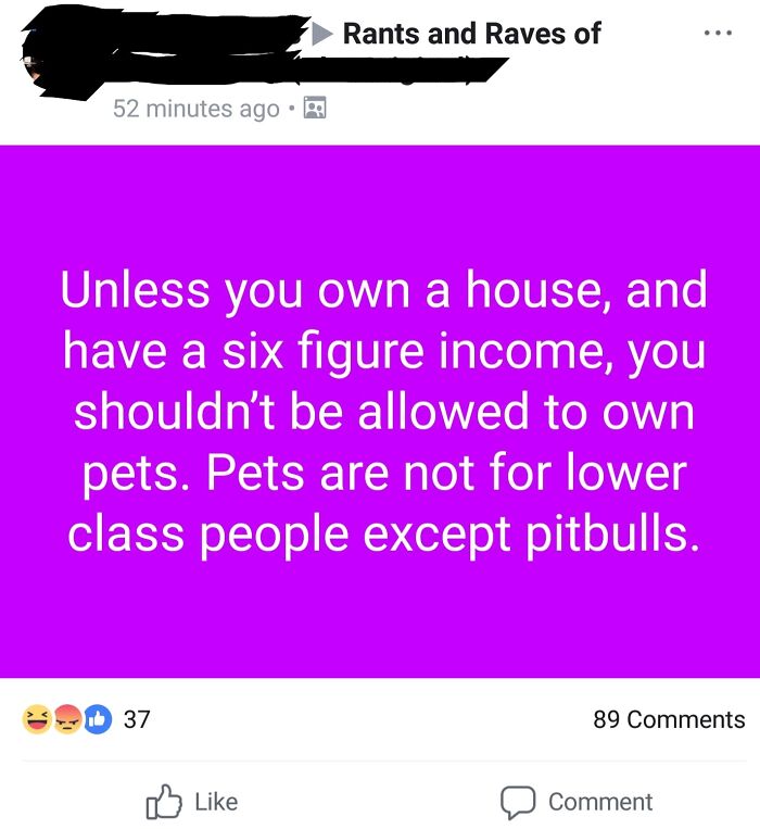 Social media post with a rant about pet ownership and income, sparking online shaming of the rich.