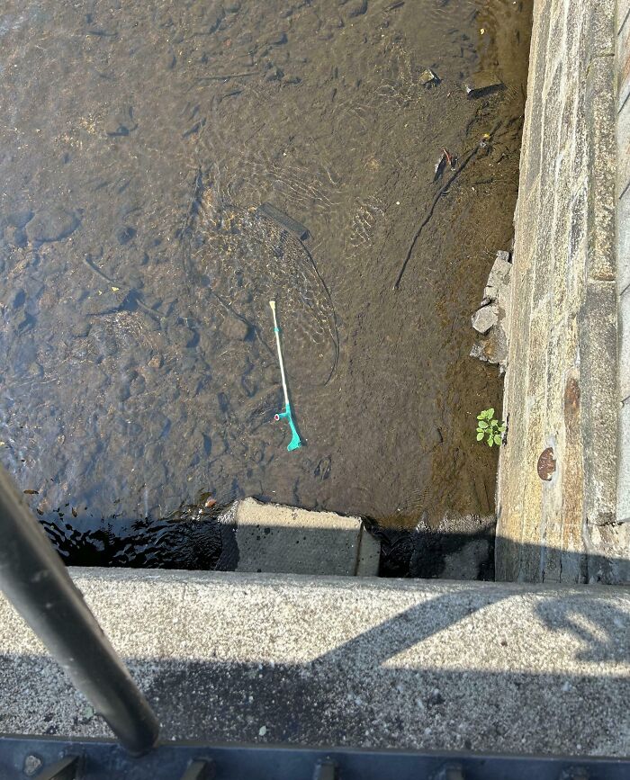 Muleta en el agua cerca de un muro de piedras. Error curioso y digno de compartirse en internet.
