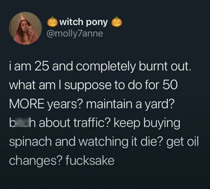 Tweet about adulthood struggles, burnout at 25, questioning future responsibilities like maintaining a yard or dealing with traffic.