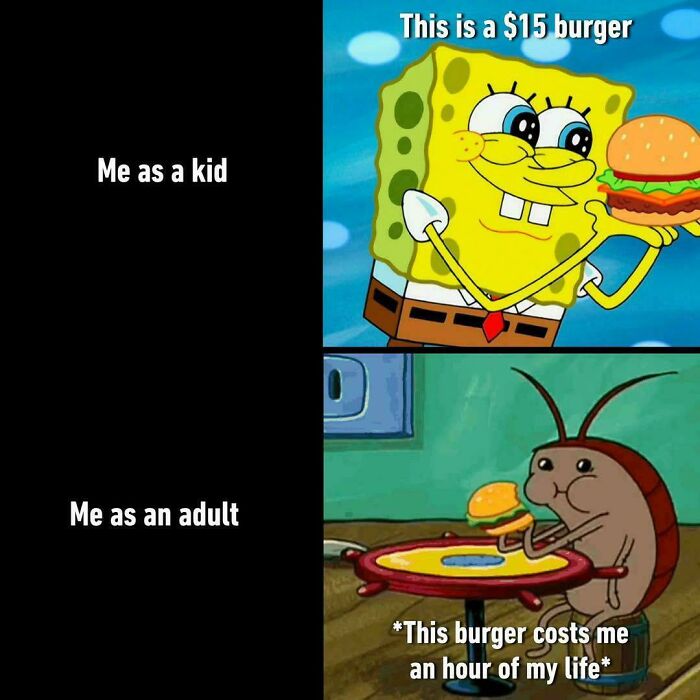 Cartoon meme showing childhood vs adulthood perspective on burger price.