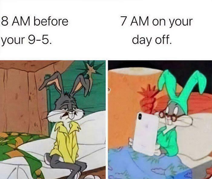Adulthood meme showing tired bunny before work and relaxed on a day off.
