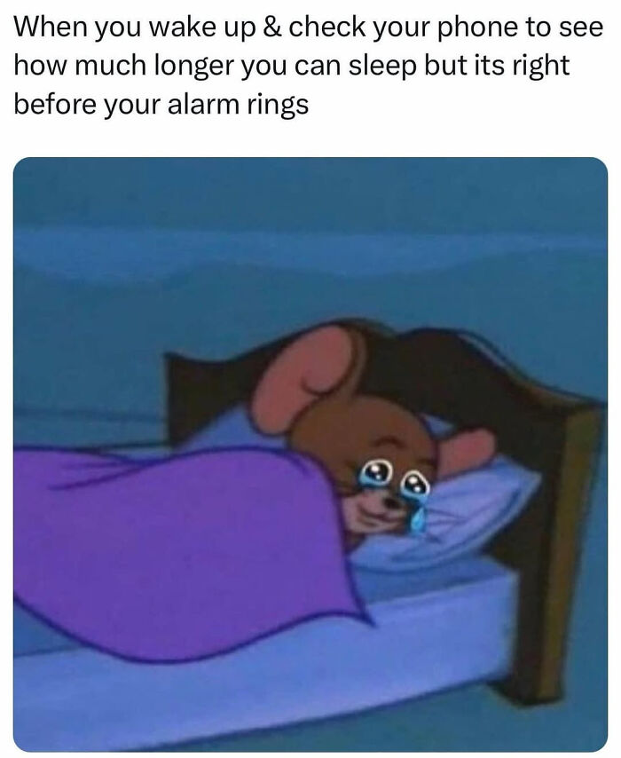 Cartoon mouse in bed crying with comedic adulting struggle text above.