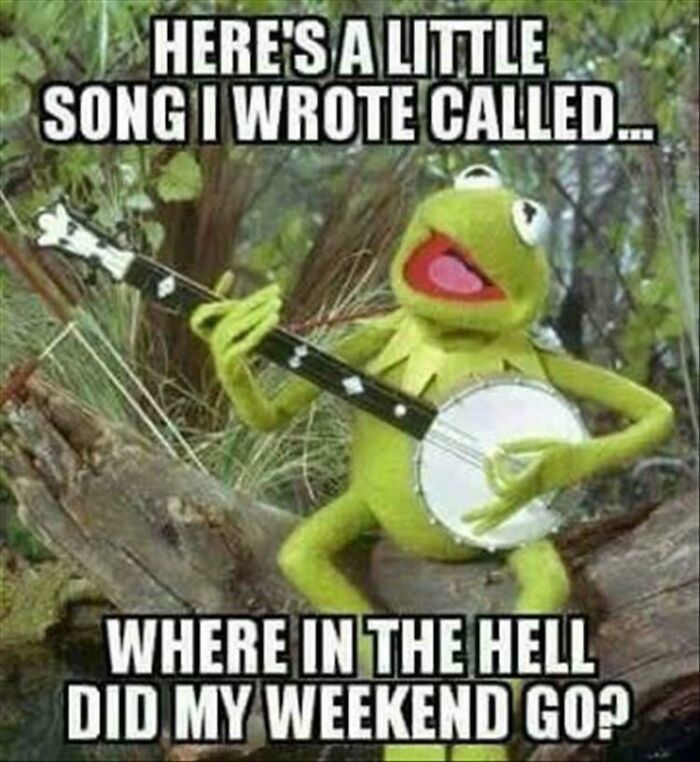 Kermit playing banjo meme about adulthood struggles, captioned "Where in the hell did my weekend go?"