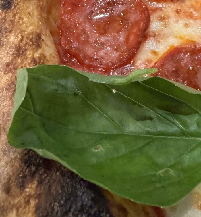 Pizza slice with pepperoni and a green leaf topping, highlighting an unexpected and unique food combination.