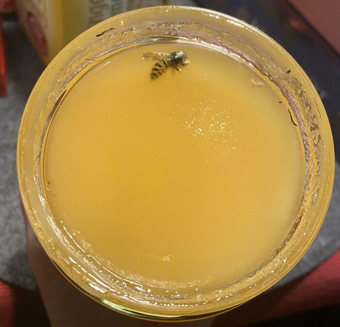 A bee found in a jar of orange juice, highlighting a disgusting food experience.