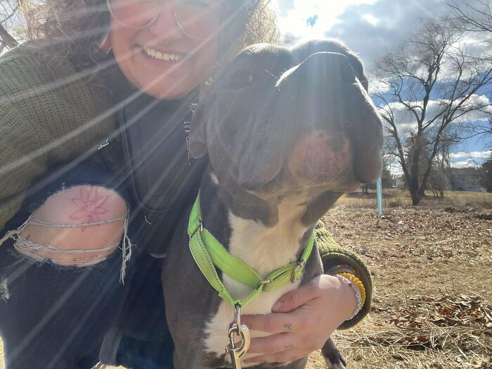 Person smiling with an adopted dog in a sunny park, showcasing the joy of pet adoption.
