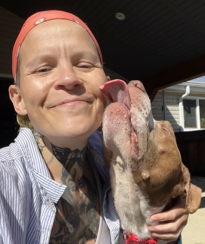 Person smiling while a happy dog gives them a big lick, highlighting pet adoption joy.