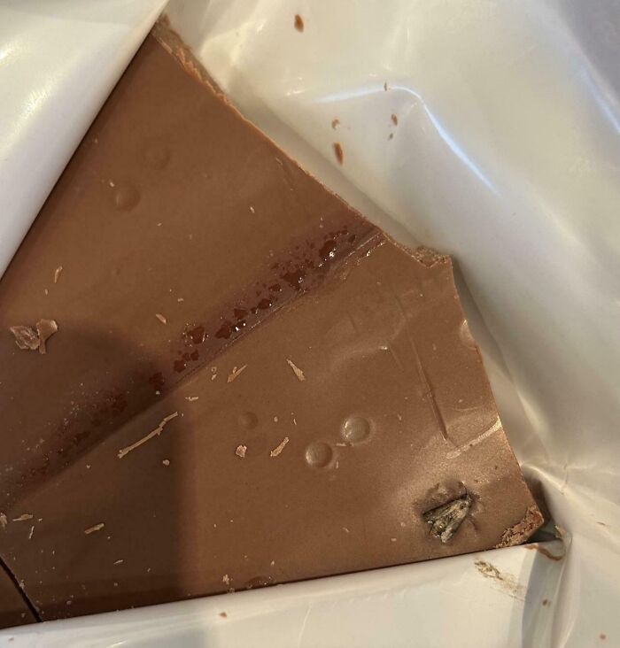 Chocolate bar with an insect inside, highlighting a disgusting food find.