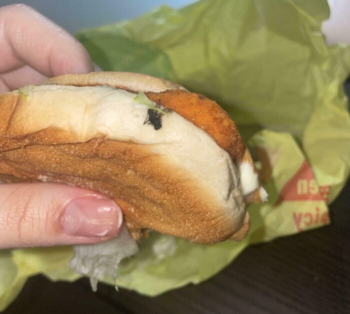 Person holding a sandwich with a fly on it, found while trying to enjoy their food, highlighting something disgusting.