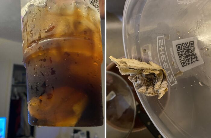 A drink with something unappetizing inside next to a container lid with an unexpected item stuck to it.