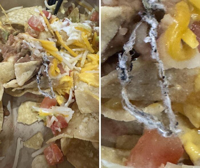 Close-up of a nacho dish with mystery object amid toppings, highlighting unexpected and disgusting food findings.