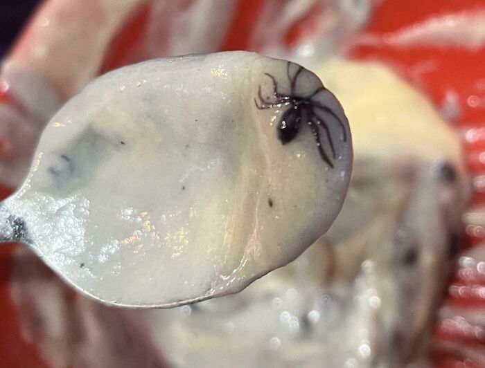 Spoonful of yogurt with a small spider, creating a disgusting food surprise.