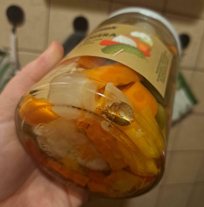 Jar of pickled vegetables containing a bug, showing a food-related discovery that turned out to be disgusting.