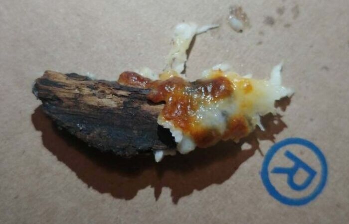 Unusual object found in food showing something disgusting, covered in sauce and cheese, lying on a brown surface.
