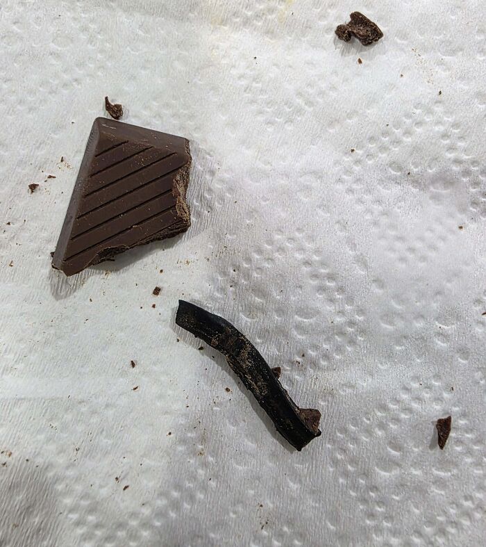 Chocolate piece with an unexpected dark, twisted object on a paper towel, depicting a surprising food moment.