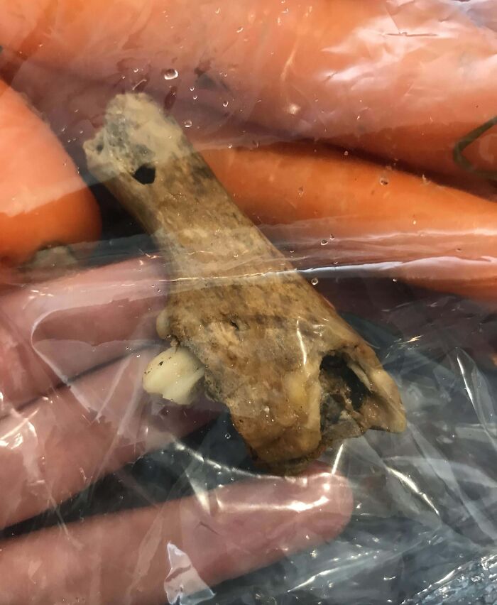A piece of bone found in a bag of fresh carrots, causing a disgusting surprise while preparing food.