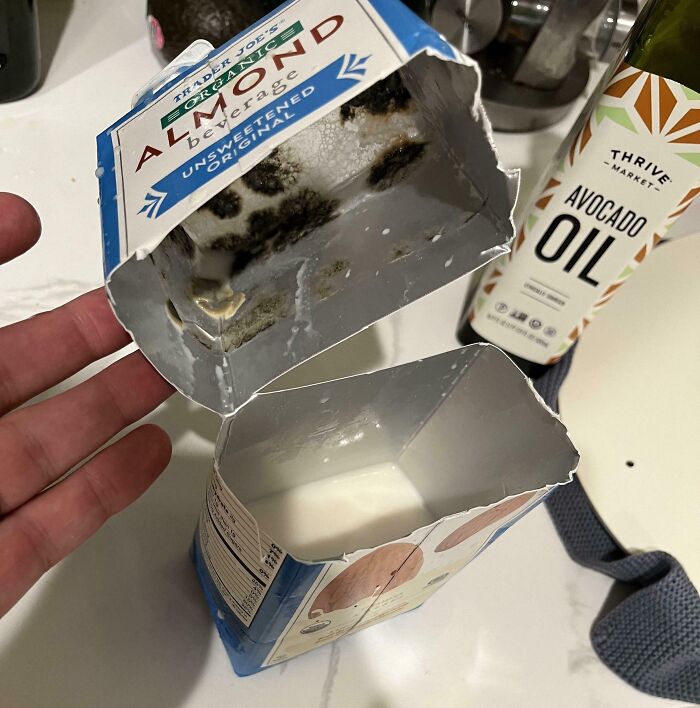 Moldy almond milk carton opened, revealing spoiled contents, near an avocado oil bottle.