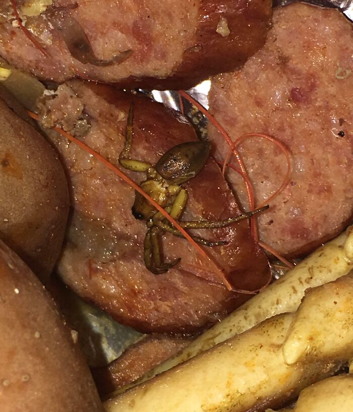 Disgusting surprise found in food: a small creature on sliced sausage.