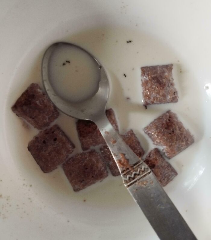 Cereal in a bowl with milk and an insect near spoon, creating a disgusting food experience.