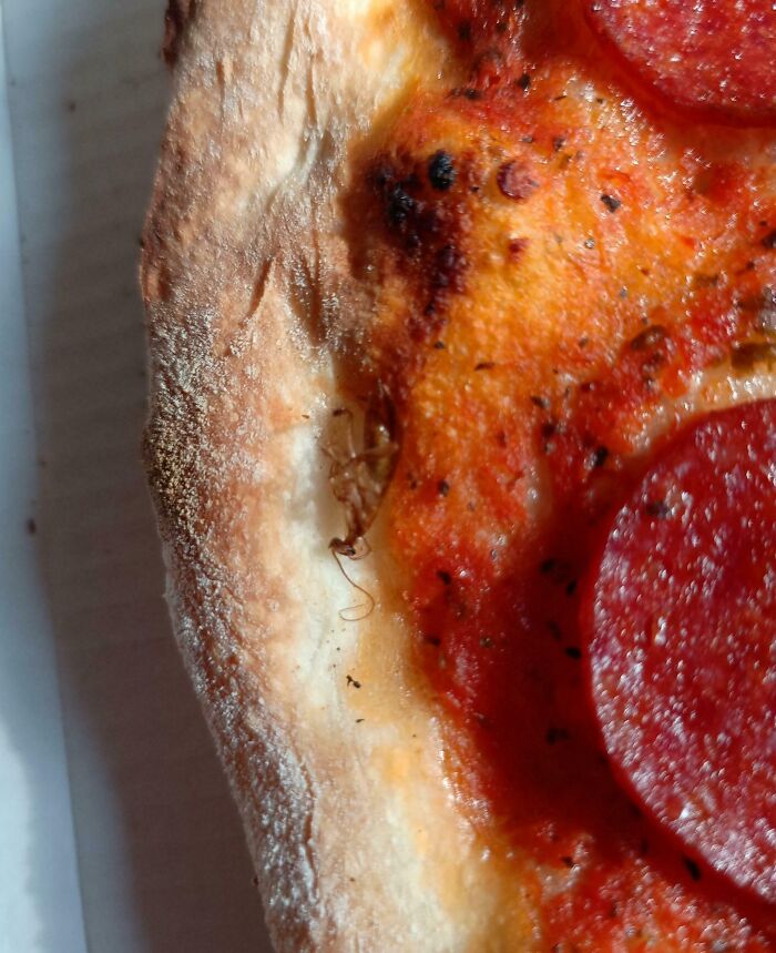 Pizza with a disturbing insect embedded in the crust, near pepperoni topping.