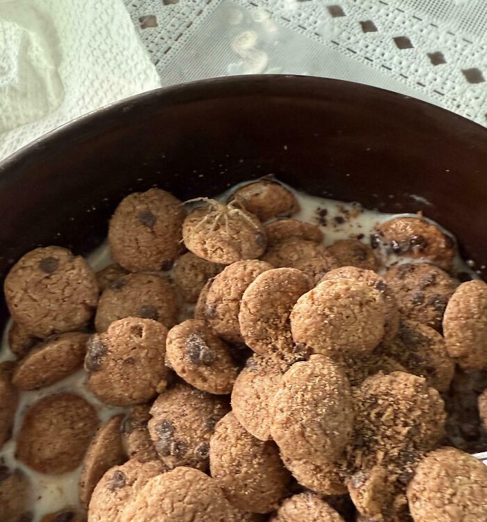 Bowl of cereal with a spider on top, illustrating a disgusting food surprise.