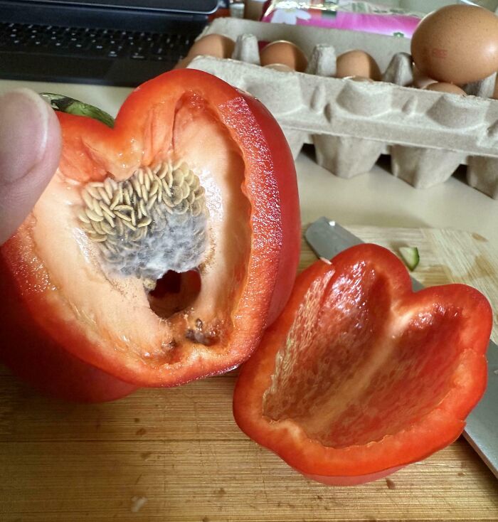 Sliced red pepper revealing mold inside, food disappointment.