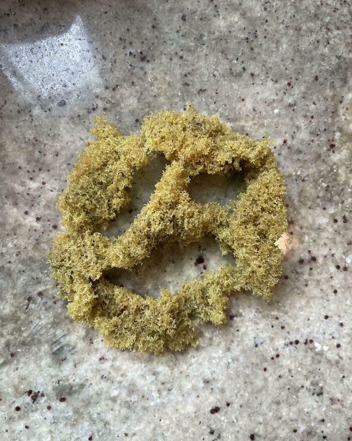 A natural sponge, worn down by time, showing a smiley face shape on a speckled countertop.
