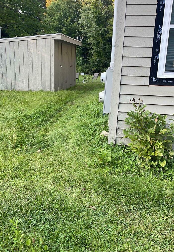 Path in grass worn down by frequent use, leading to a shed amidst greenery.