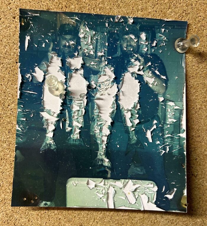 Worn-down photo of people on corkboard, showing effects of time, with peeling surface and visible pushpins.